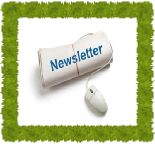 Newsletter February 2026.pdf